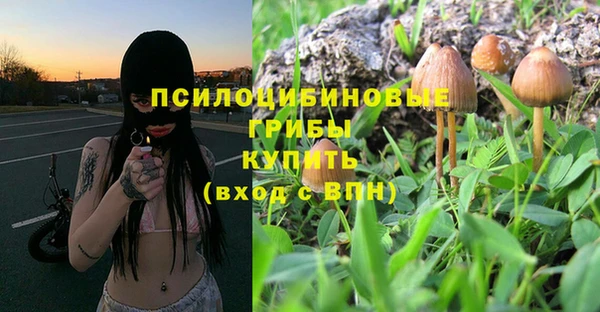 не бодяженный Нефтекумск